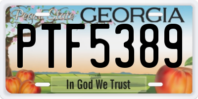 GA license plate PTF5389