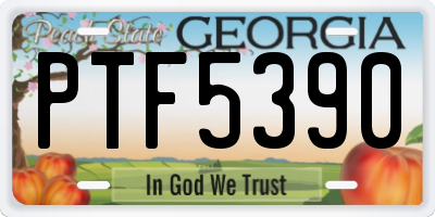 GA license plate PTF5390