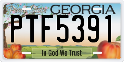GA license plate PTF5391