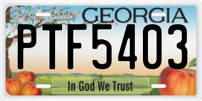 GA license plate PTF5403