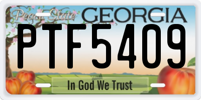 GA license plate PTF5409