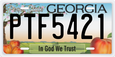 GA license plate PTF5421