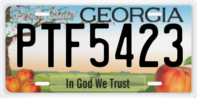 GA license plate PTF5423