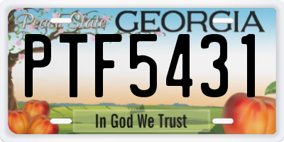 GA license plate PTF5431