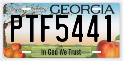 GA license plate PTF5441