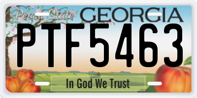 GA license plate PTF5463