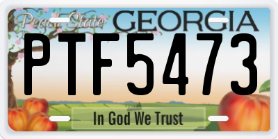 GA license plate PTF5473