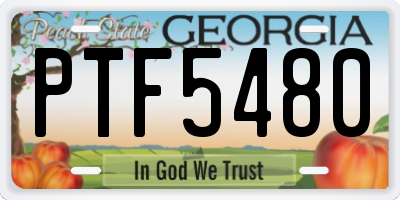 GA license plate PTF5480