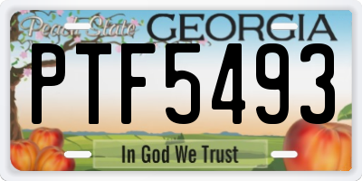 GA license plate PTF5493