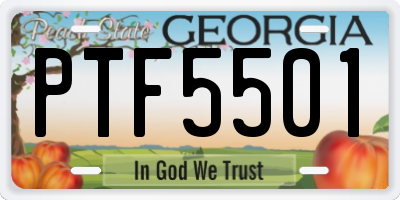 GA license plate PTF5501