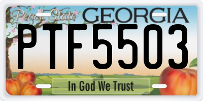 GA license plate PTF5503