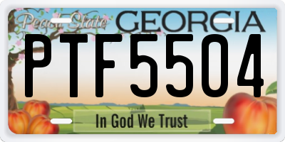 GA license plate PTF5504