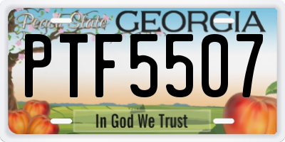 GA license plate PTF5507