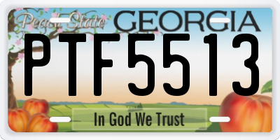 GA license plate PTF5513