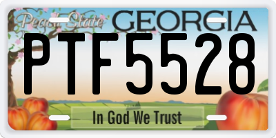 GA license plate PTF5528