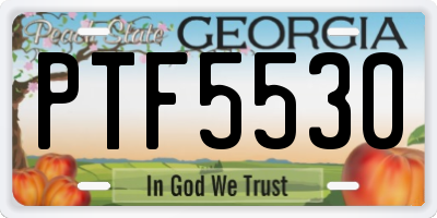 GA license plate PTF5530