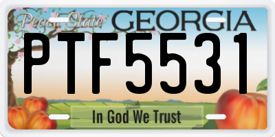 GA license plate PTF5531