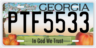 GA license plate PTF5533