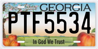 GA license plate PTF5534