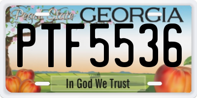 GA license plate PTF5536