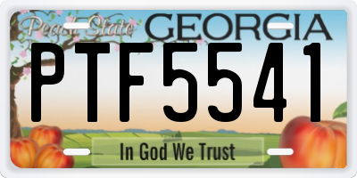GA license plate PTF5541