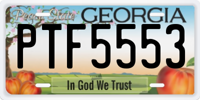 GA license plate PTF5553