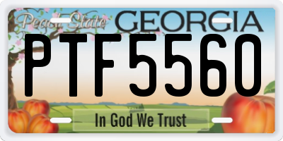 GA license plate PTF5560