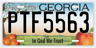 GA license plate PTF5563