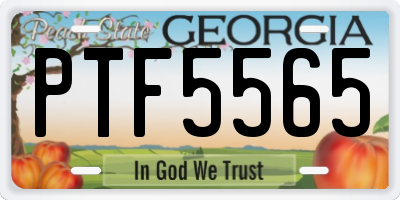 GA license plate PTF5565