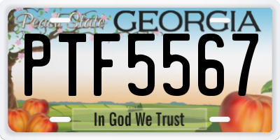 GA license plate PTF5567
