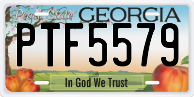 GA license plate PTF5579
