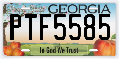 GA license plate PTF5585
