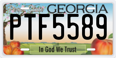 GA license plate PTF5589