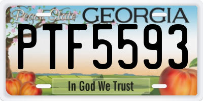 GA license plate PTF5593