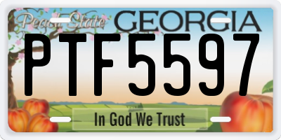 GA license plate PTF5597