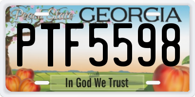 GA license plate PTF5598