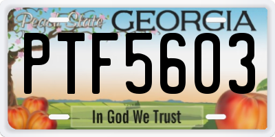 GA license plate PTF5603