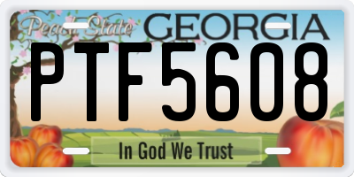 GA license plate PTF5608