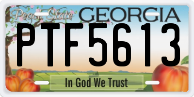 GA license plate PTF5613