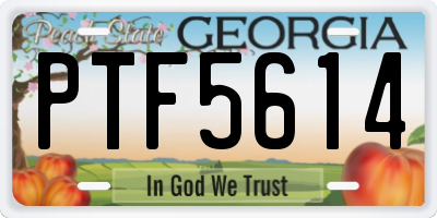 GA license plate PTF5614