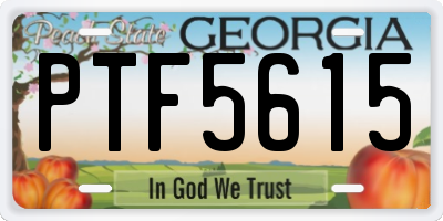 GA license plate PTF5615
