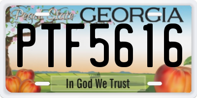 GA license plate PTF5616