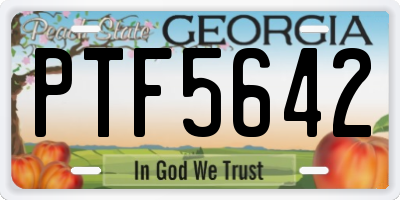 GA license plate PTF5642