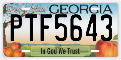 GA license plate PTF5643