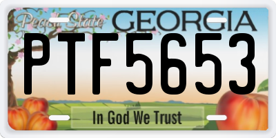 GA license plate PTF5653