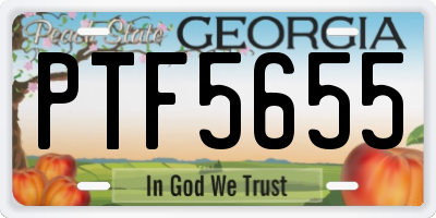 GA license plate PTF5655
