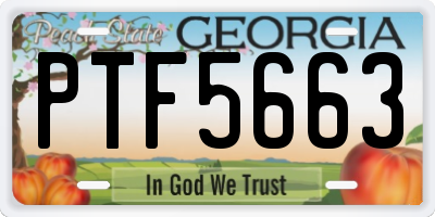 GA license plate PTF5663