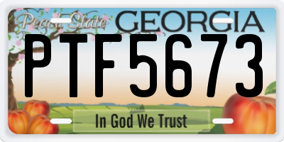 GA license plate PTF5673