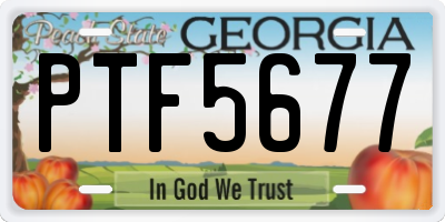 GA license plate PTF5677