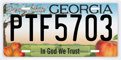 GA license plate PTF5703